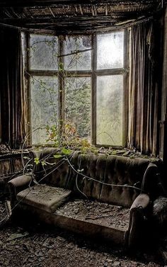 an old couch sitting in front of a window with vines growing out of the seat