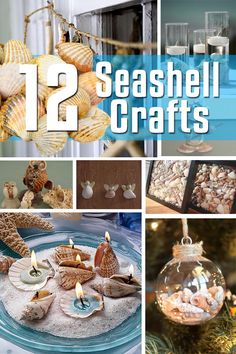 twelve seashell crafts are featured in this collage