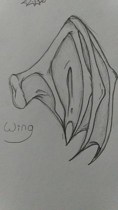 a pencil drawing of a flower with the word wing on it's left side