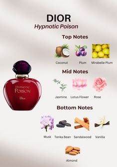 Step into a world of allure with Dior Hypnotic Poison! Delight in the top notes of coconut, plum, and mirabelle plum, followed by the captivating mid notes of jasmine, lotus flower, and rose. Surrender to the irresistible base notes of musk, tonka bean, sandalwood, vanilla, and almond. Let the fragrance bewitch you. Click now to experience the hypnotic allure of Dior Hypnotic Poison! ✨🌸 #DiorPerfume #HypnoticPoison #FragranceNotes #LuxuryScents Perfume Top Notes, Dior Hypnotic Poison Perfume, Tonka Bean Perfume, Plum Perfume, Hypnotic Poison Perfume, Lotus Perfume, Perfumes Notes, Dior Poison Perfume, Hypnotic Poison Dior