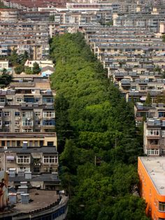 an aerial view of a city with lots of tall buildings and trees in the foreground