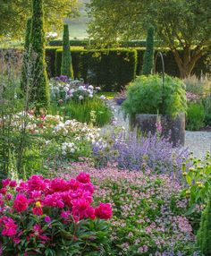 a garden filled with lots of different types of flowers