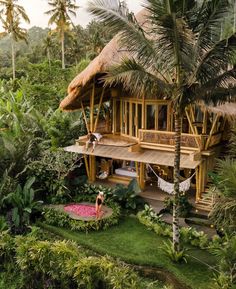 an aerial view of a tropical house surrounded by greenery