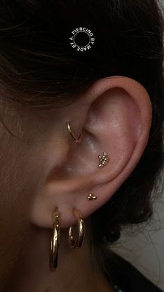 a close up of a person with ear piercings on their left and right ears