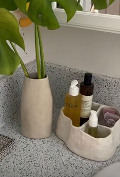 a plant in a white vase sitting on top of a counter next to some bottles