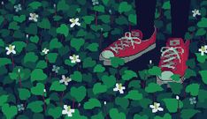 a pair of red sneakers sitting on top of clover covered ground