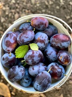 a white bowl filled with purple plums and a green leaf