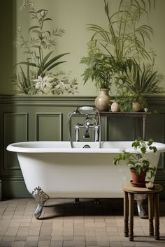 a bathtub with plants and potted plants on the wall in front of it