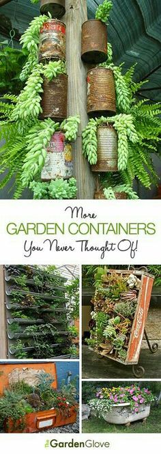 the garden containers you've never thought of are made out of old tin cans