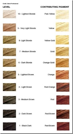 Hair color levels Level 8 Hair Color, Blonde Hair Levels, Levels Of Hair Color, Hair Chart, Hair Education, At Home Hair Color