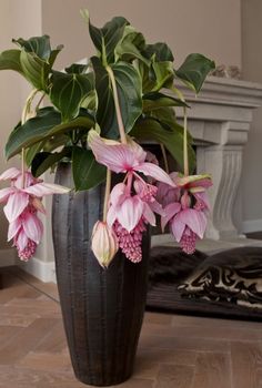 pink flowers in a black vase on the floor