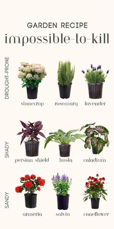 a poster with different types of plants in it