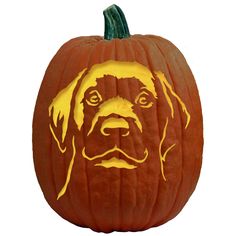 a carved pumpkin with a dog's face on it