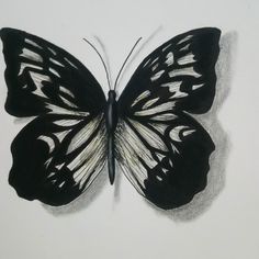 a drawing of a black and white butterfly