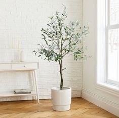 a small tree in a white pot on the floor next to a table and window