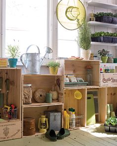 a room filled with lots of different types of plants and gardening implements on wooden crates