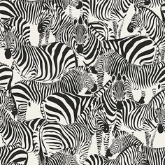 Jemima Black Zebra Wallpaper from Design Department by Brewster Zebra Wallpaper, Brewster Wallcovering, Brewster Wallpaper, Contemporary Graphic Design, Collage Mural, Contemporary Graphic, Animal Print Wallpaper, Wallpaper For Sale, Zebras Animal