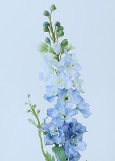 blue flowers are in a vase on a table