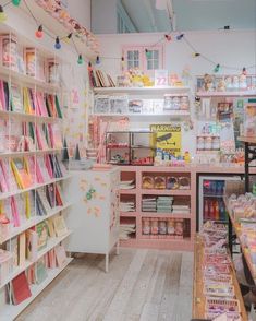 a store filled with lots of different types of goods and decorations on shelves next to each other