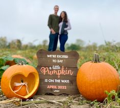 Pumpkin carving, announcement, pumpkin patch, a little pumpkin is on the way Baby Pumpkin Announcement, Pumpkin Baby Announcement With Sibling, Pumpkin Patch Baby Announcement, Pumpkin Birth Announcement, Pumpkin Patch Maternity Pictures, A Little Pumpkin Is On The Way