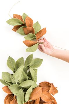 two hands are holding fake leaves in front of a white background and another hand is reaching for them