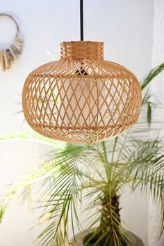 a wicker lamp hanging from a ceiling next to a potted palm tree in front of a white wall