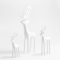 three white giraffes standing next to each other in front of a white background