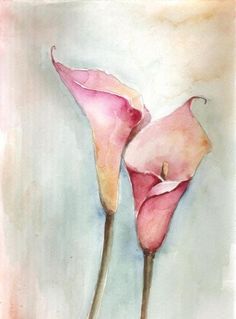 two pink flowers are shown in this watercolor painting