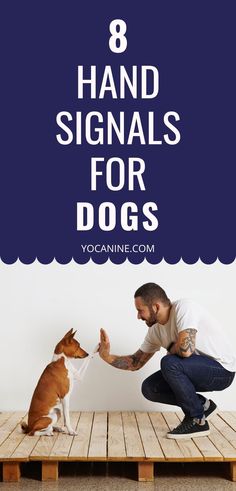 a man kneeling down next to a dog with the words 8 hand signals for dogs