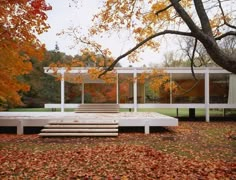 the modern house is surrounded by trees and leaves