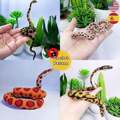 the hand is holding a toy snake in it's right hand, and there are three pictures of different kinds of snakes