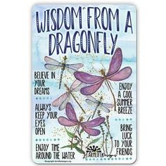 a poster with dragonflies on it that says advice from a dragonfly