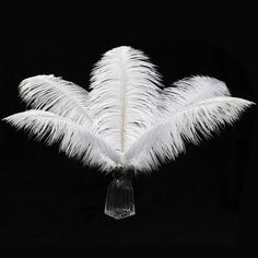 white feathers in a glass vase on a black background