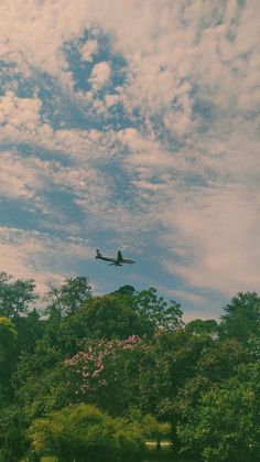 an airplane is flying in the sky over some trees and bushes on a cloudy day