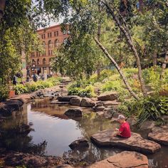 a man sitting on top of a rock next to a small pond in a park