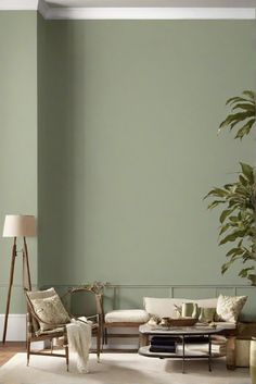 interior design consulting,home decor ideas,kitchen renovation ideas,wall painting tips Natural Green Wall Paint, Color Living Room Walls, Sage Walls Living Room, Dulux Green Paint, Pastel Green Wall, Living Room Paint Design, Green Wall Paint Colors, Sage Paint Color, Indoor Paint Colors