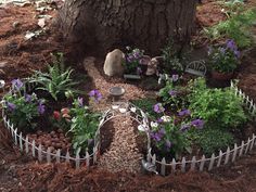 a cat sitting in the middle of a garden with purple flowers and plants around it