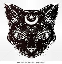 black and white drawing of a cat's face with the moon in its eyes