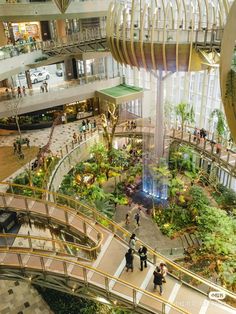 people are walking up and down the escalators in a shopping mall with plants on them