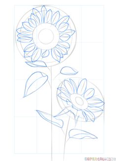 how to draw a sunflower step by step