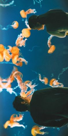 two men looking at jellyfish in an aquarium with blue sky and clouds behind them