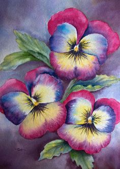 watercolor painting of three pansies with green leaves and purple flowers in the background