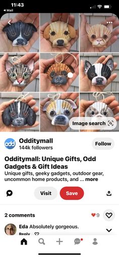 an instagram page with pictures of cats and seashells