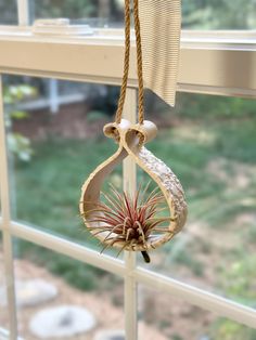 an air plant hanging from a window sill