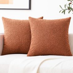 two brown pillows sitting on top of a white couch next to a potted plant