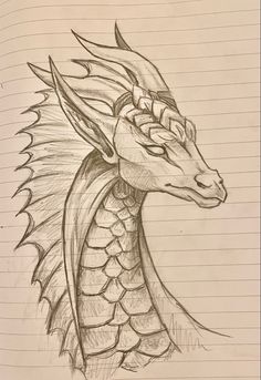 a pencil drawing of a dragon head