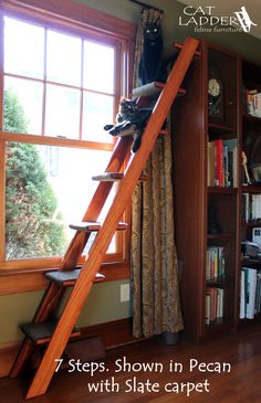 a cat sitting on top of a ladder next to a window