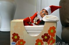 an elf is sitting in a flowered box