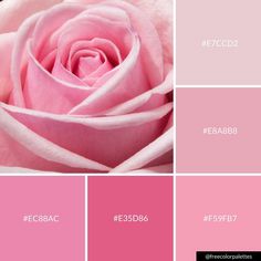 a pink rose color scheme with the words efcbac and ef388