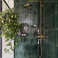 a green tiled bathroom with a shower head and hand held shower faucet next to a potted plant